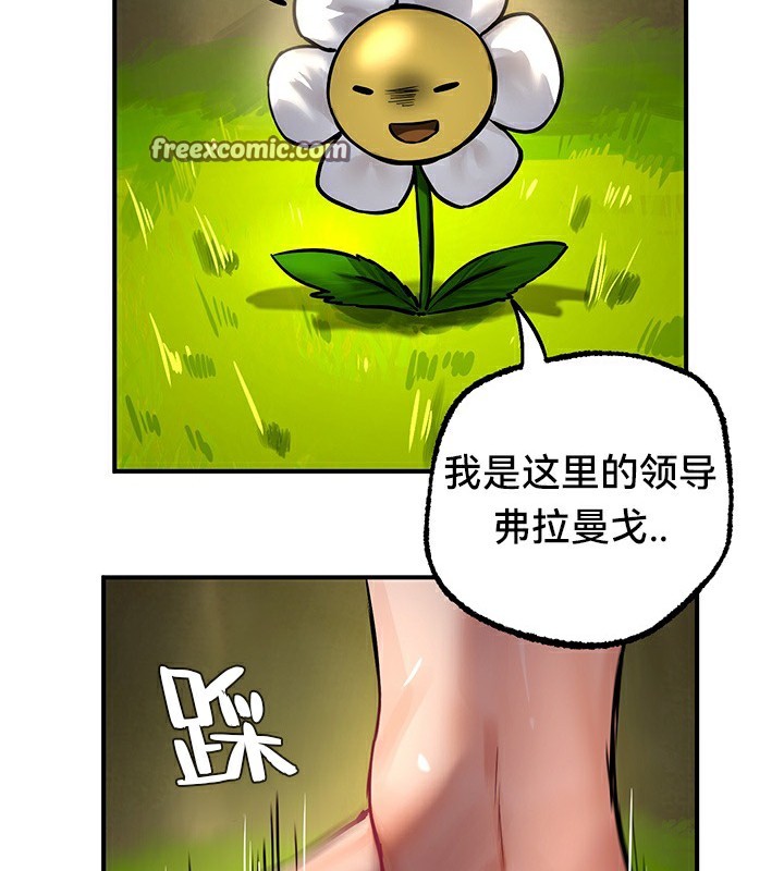 104.jpg