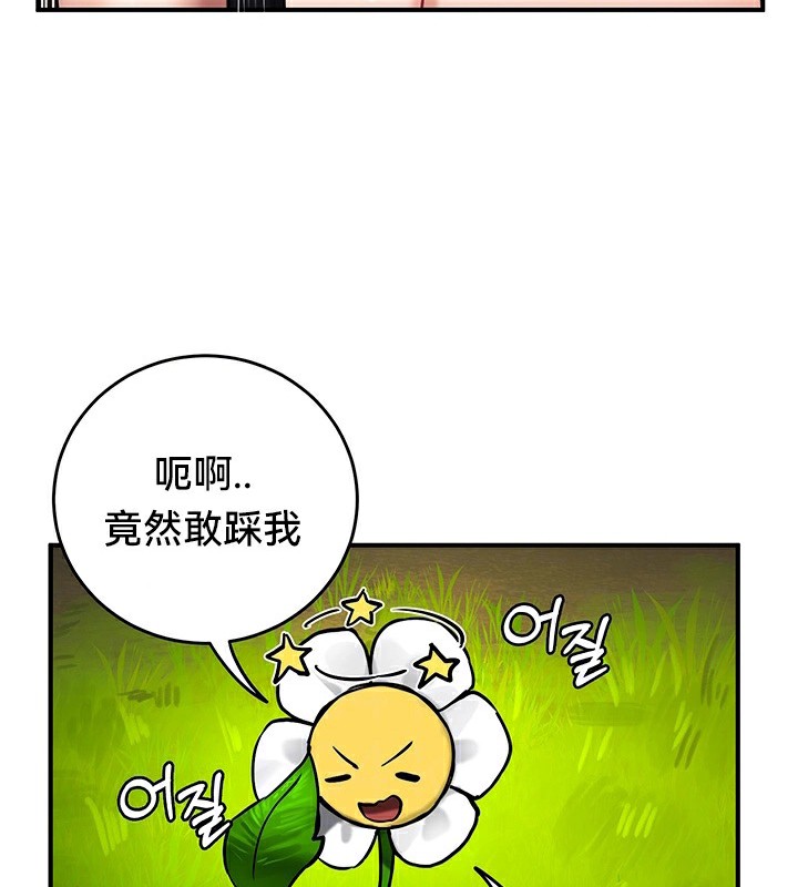 127.jpg