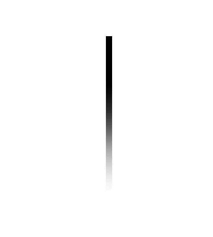 175.jpg