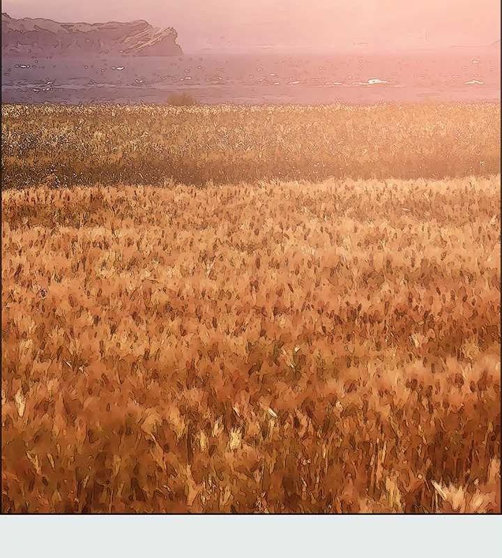 71.jpg