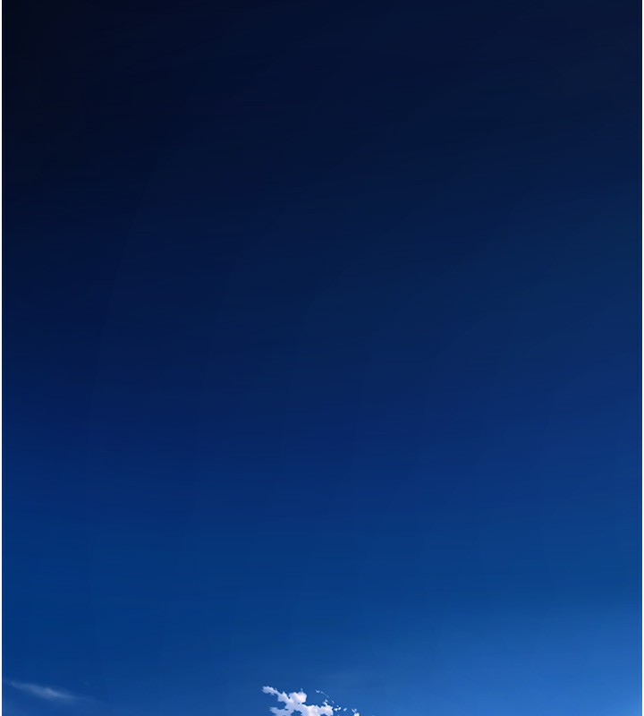 251.jpg