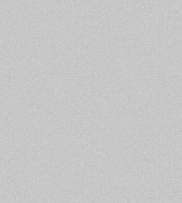 169.jpg