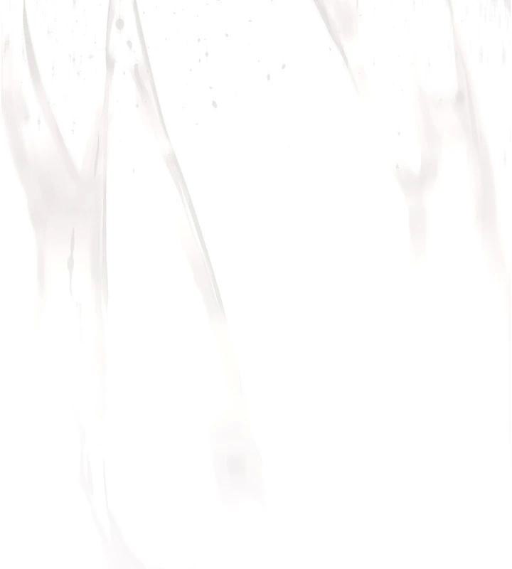 151.jpg