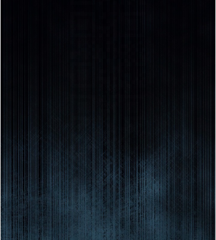 113.jpg