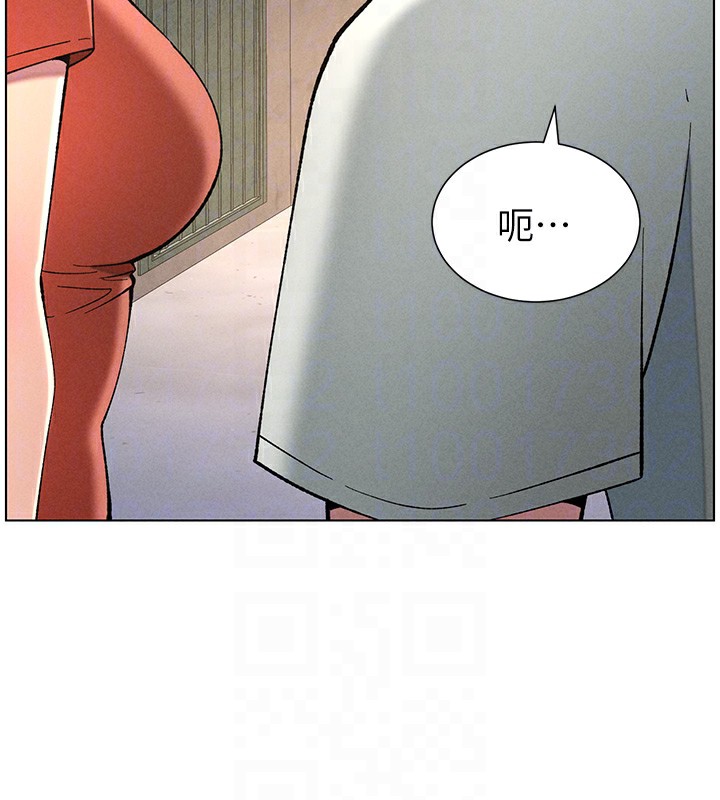91.jpg