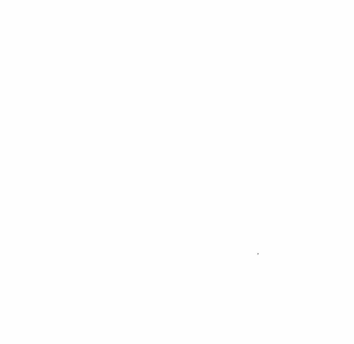 84.jpg