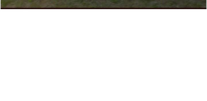 53.jpg