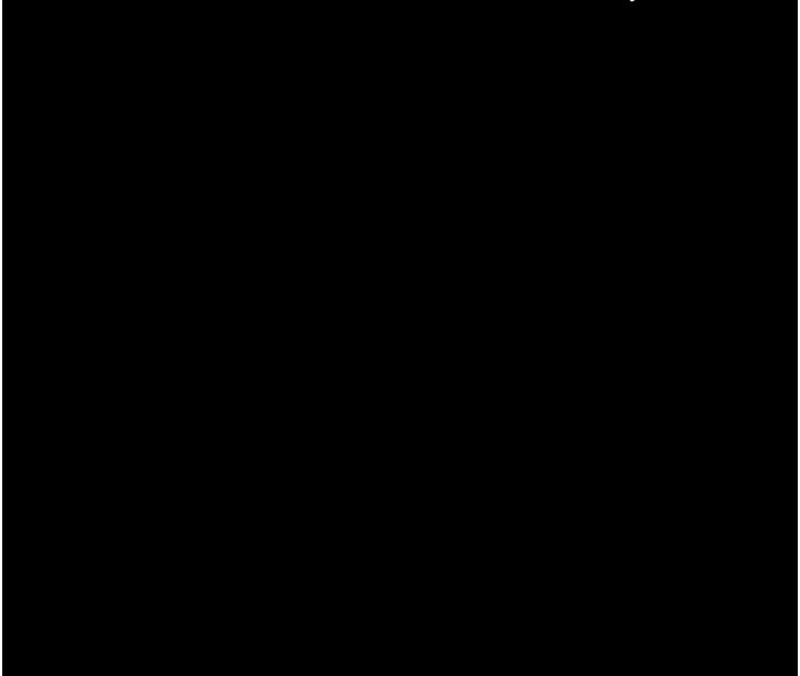 93.jpg