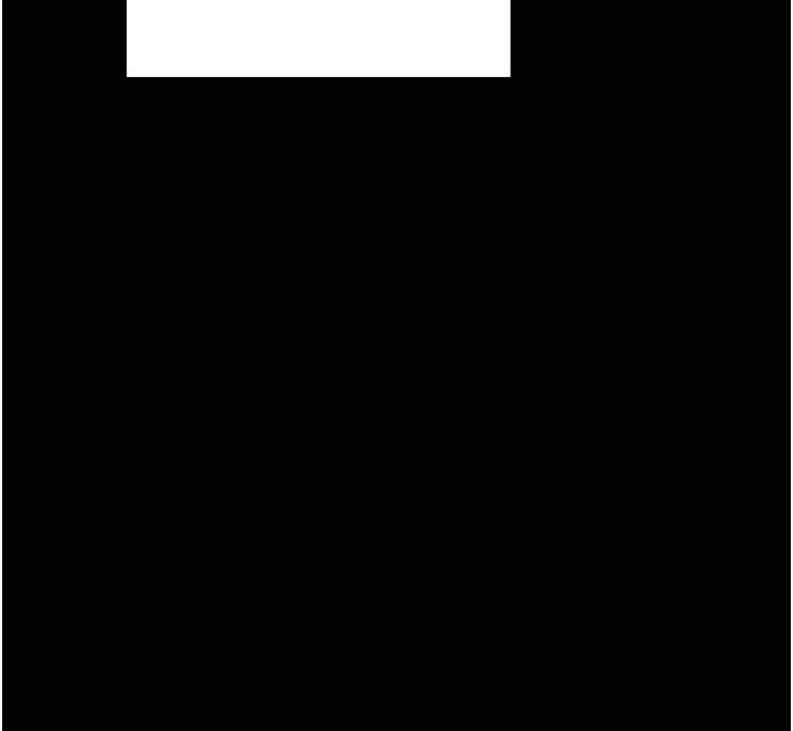 205.jpg