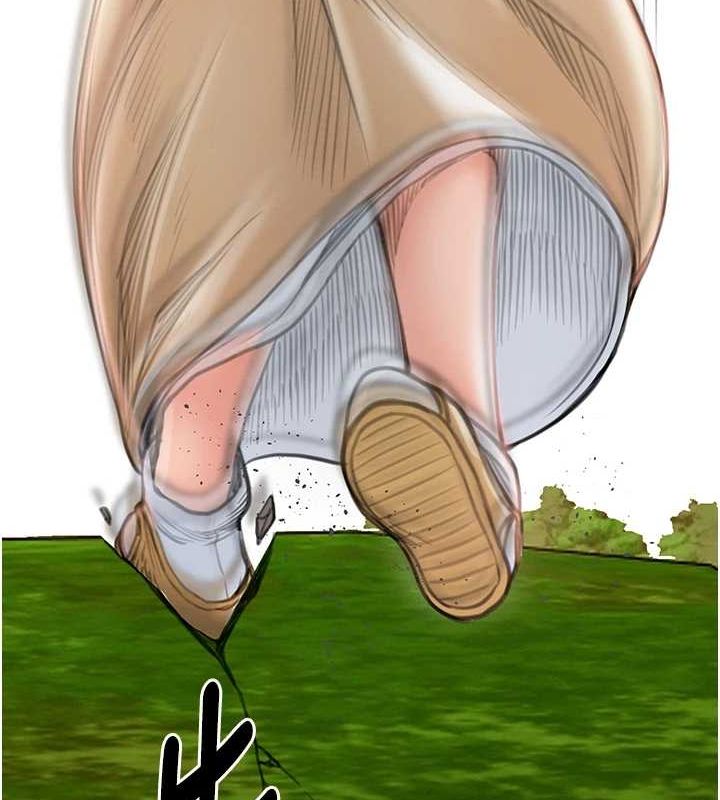 223.jpg